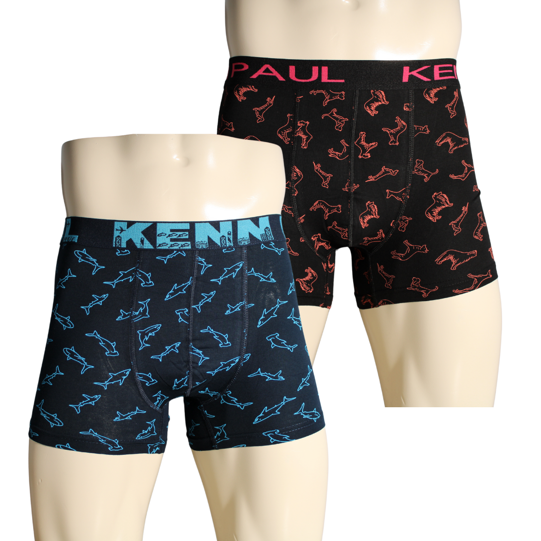 2'li Erkek Desenli Pamuklu Lüks Boxer Konfor