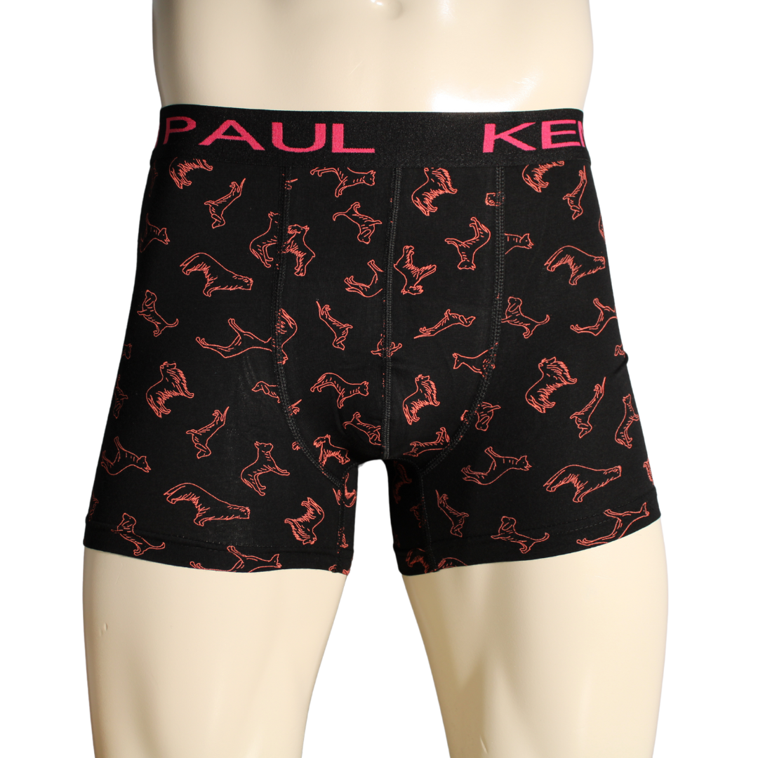 2'li Erkek Desenli Pamuklu Lüks Boxer Konfor
