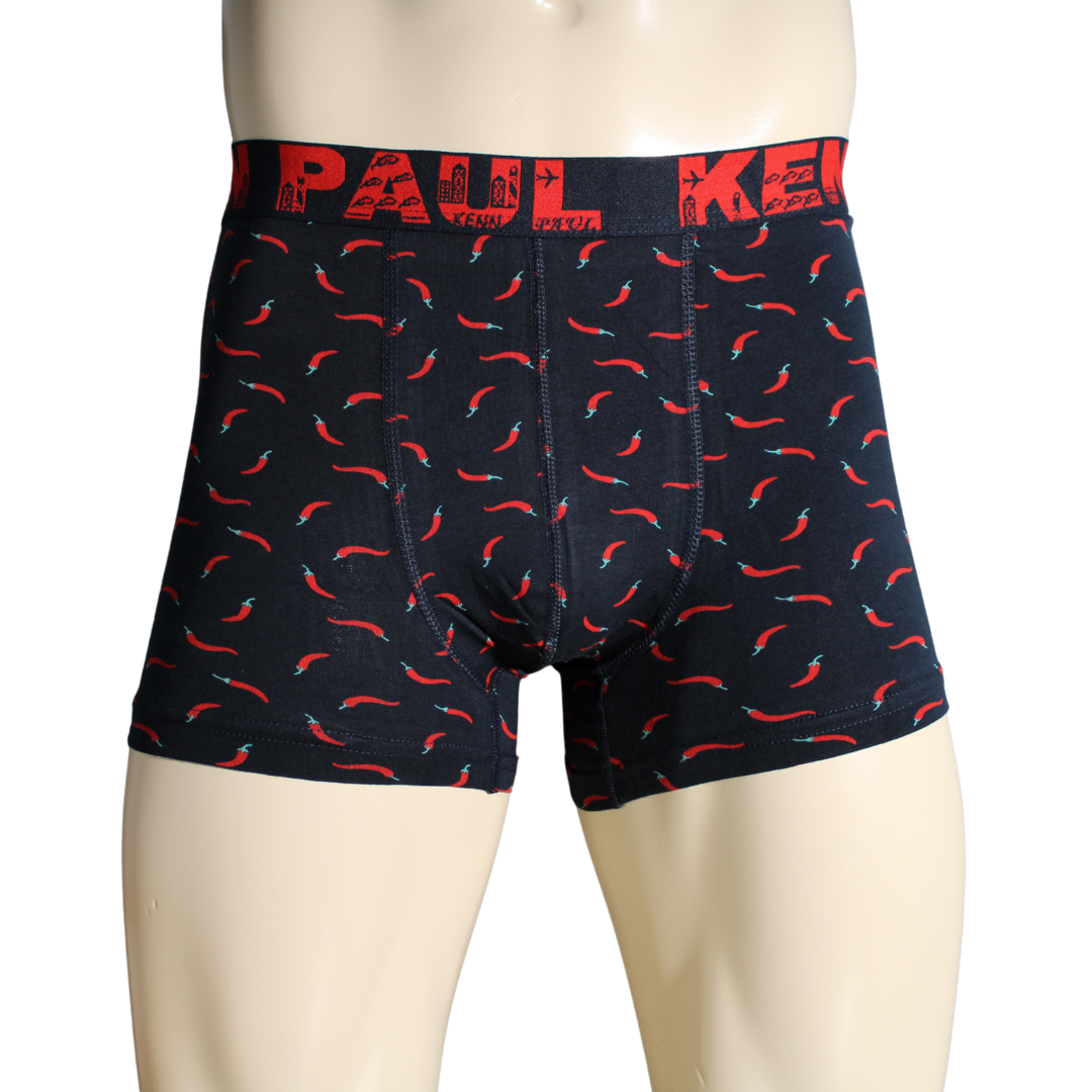 2'li Erkek Desenli Pamuklu Lüks Boxer