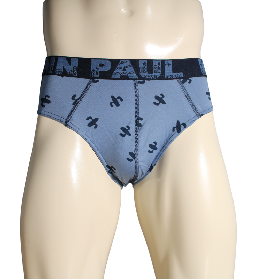 3'lü Erkek Slip Desenli Pamuklu Lüks Boxer